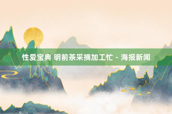 性爱宝典 明前茶采摘加工忙 - 海报新闻