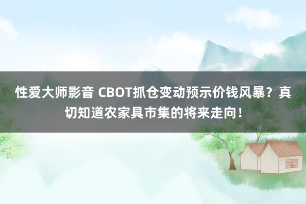 性爱大师影音 CBOT抓仓变动预示价钱风暴？真切知道农家具市集的将来走向！