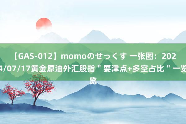 【GAS-012】momoのせっくす 一张图：2024/07/17黄金原油外汇股指＂要津点+多空占比＂一览