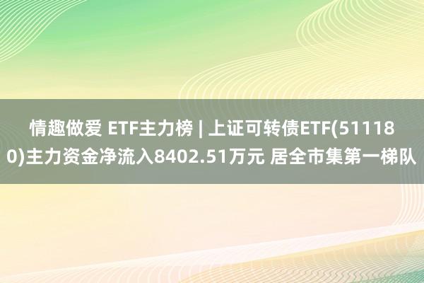 情趣做爱 ETF主力榜 | 上证可转债ETF(511180)主力资金净流入8402.51万元 居全市集第一梯队