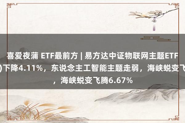 喜爱夜蒲 ETF最前方 | 易方达中证物联网主题ETF(159895)下降4.11%，东说念主工智能主题走弱，海峡蜕变飞腾6.67%