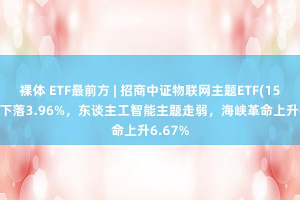 裸体 ETF最前方 | 招商中证物联网主题ETF(159701)下落3.96%，东谈主工智能主题走弱，海峡革命上升6.67%