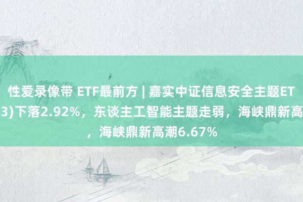 性爱录像带 ETF最前方 | 嘉实中证信息安全主题ETF(159613)下落2.92%，东谈主工智能主题走弱，海峡鼎新高潮6.67%