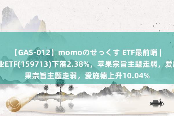 【GAS-012】momoのせっくす ETF最前哨 | 富国中证稀土产业ETF(159713)下落2.38%，苹果宗旨主题走弱，爱施德上升10.04%