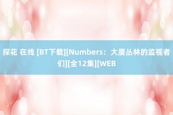 探花 在线 [BT下载][Numbers：大厦丛林的监视者们][全12集][WEB