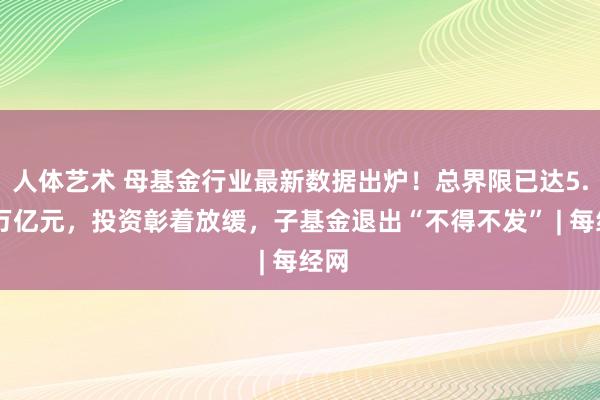 人体艺术 母基金行业最新数据出炉！总界限已达5.54万亿元，投资彰着放缓，子基金退出“不得不发” | 每经网