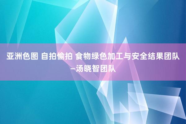 亚洲色图 自拍偷拍 食物绿色加工与安全结果团队—汤晓智团队